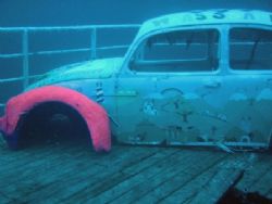 An old Beetle on a new wreck off the coast of Gozo taken ... by Peter Dreyer 